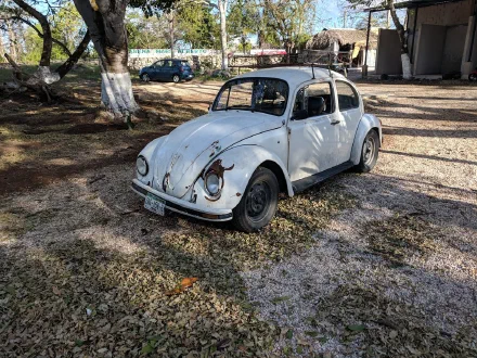Volkswagen Sedán