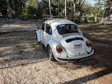 Volkswagen Sedán