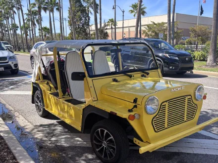 Moke